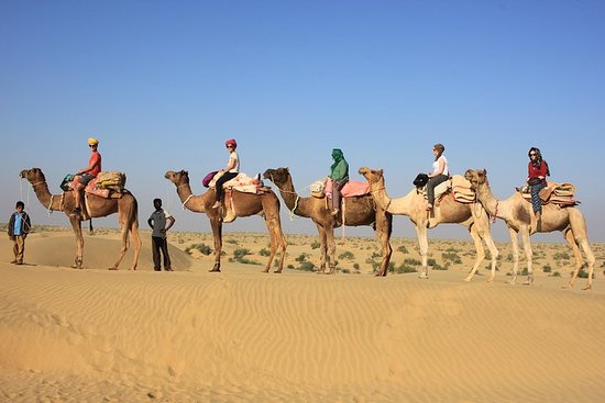 Read more about the article Experience a Captivating Camel Safari in Rajasthan’s Thar Desert