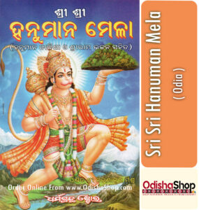 Read more about the article Benefits and Blessings of Observing Sri Sri Hanuman Mela